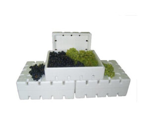 Food Packaging thermocol boxes